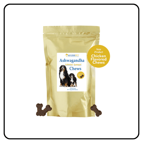 ayush ashwagandha chews