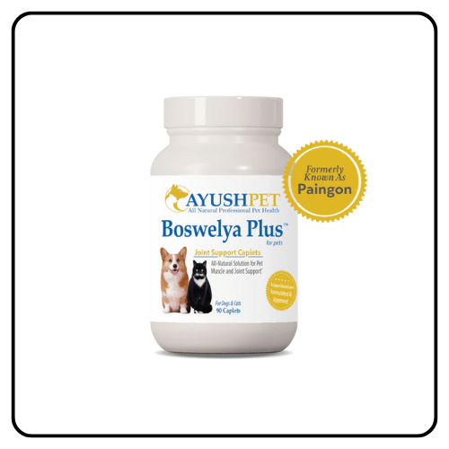 ayush pet boswelya plus