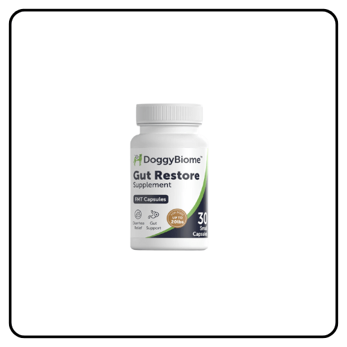 AnimalBiome Gut Restore Supplement for Dogs