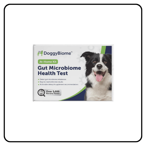 AnimalBiome Gut Health Test for Dogs
