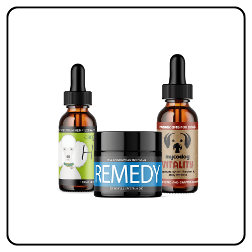 CBD Dog Health - The Power Trio