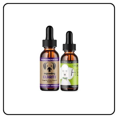 CBD Dog Health - Senior Dog Duo