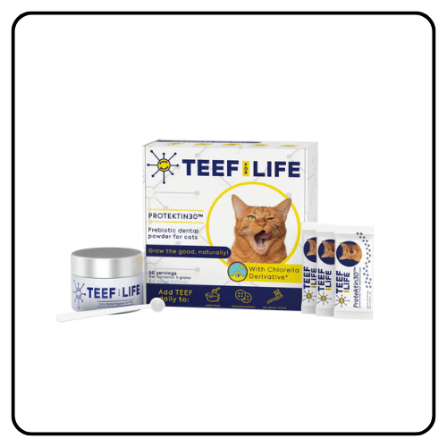 AnimalBiome TEEF for Life: Protektin30™ for Cats