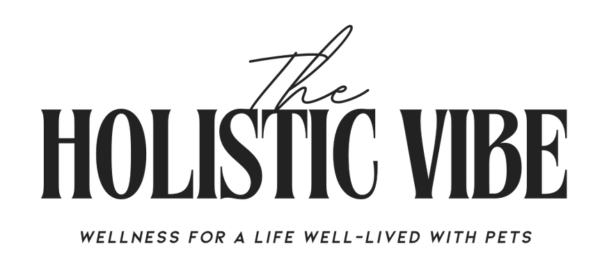 The Holistic Vibe header logo 2026