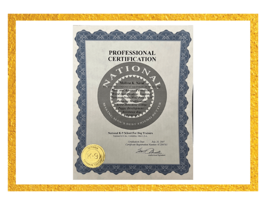 National K9 School for Dog Trainers
