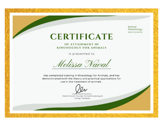 Kinesiology for Animals