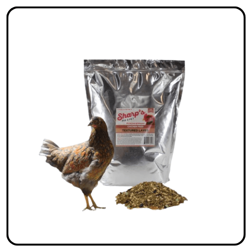 Sharp's Chicken Layer