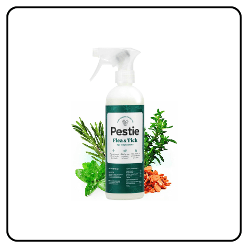 Pestie Flying Insect Trap