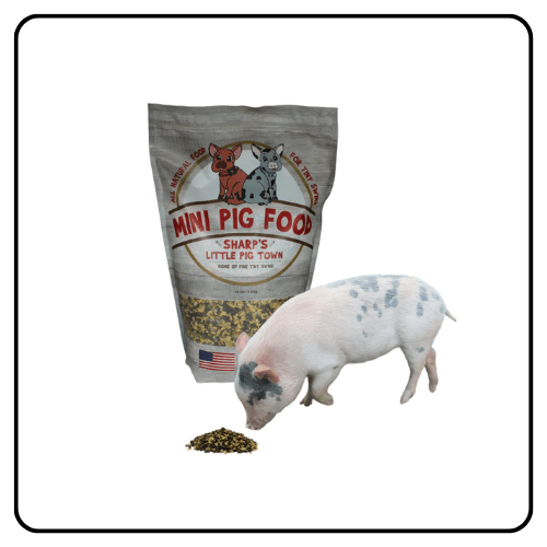 Sharp's Mini Pig Food