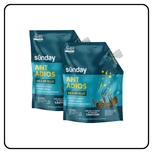 Sunday Ant Adios
