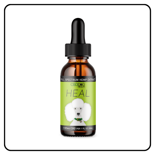 CBD Dog Health