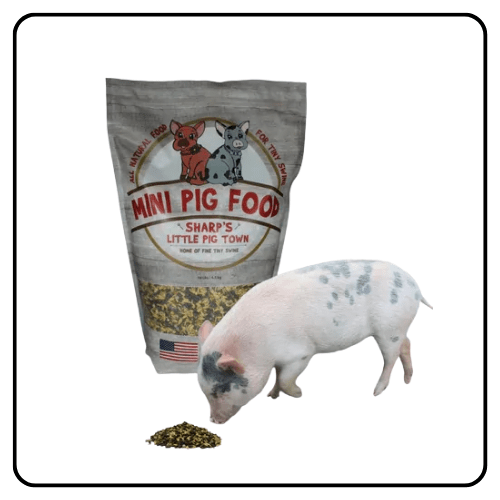 Sharp's Pig & Pet