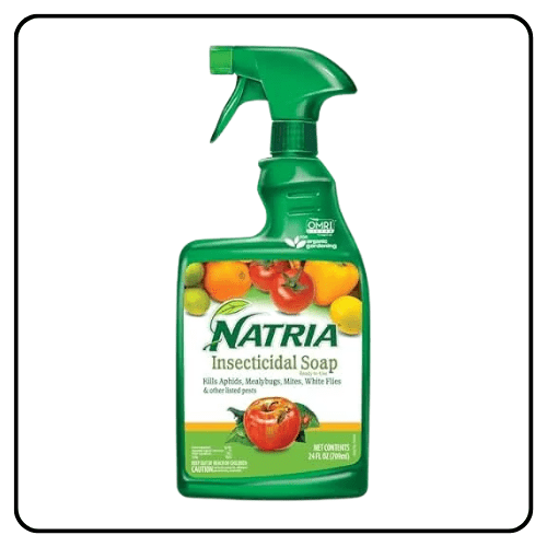 Natria