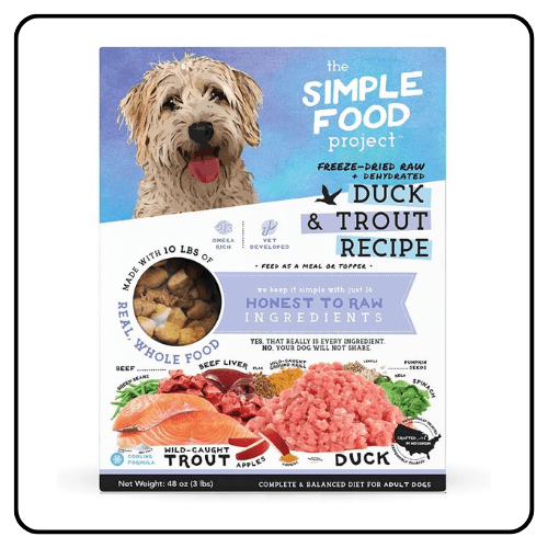 Simple Food Project