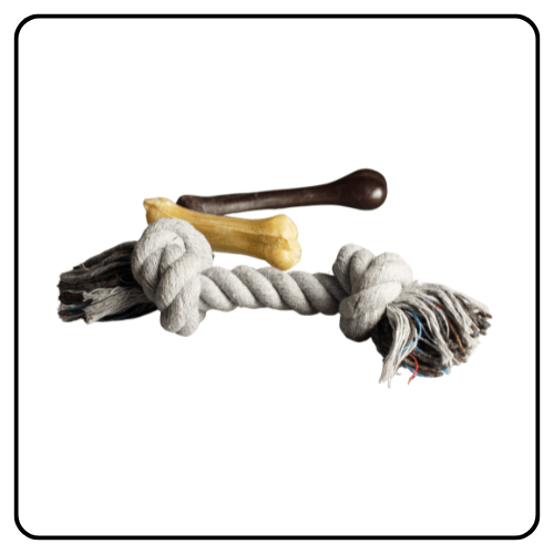 Pet Goods & Supplies