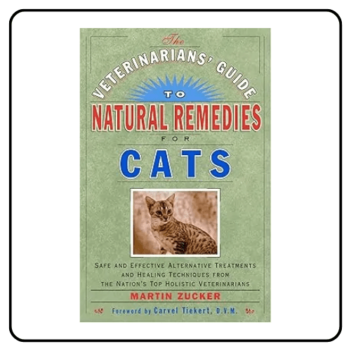 Veterinarians Guide to Natural Remedies for Cats