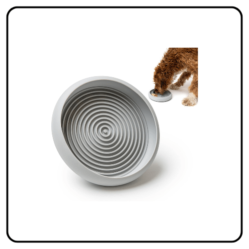 LAY LO Dog Slow Feeder