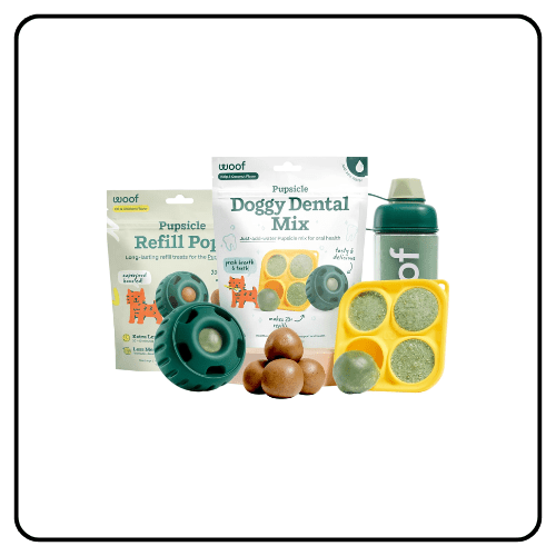 WOOF Dental Kit