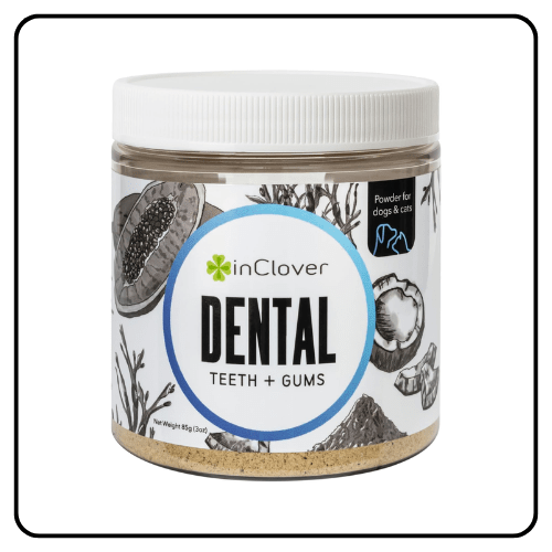 InClover Dental Powder