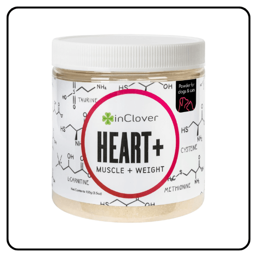 InClover Heart+