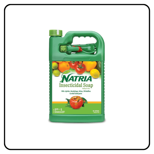 Natria Insecticidal Soap