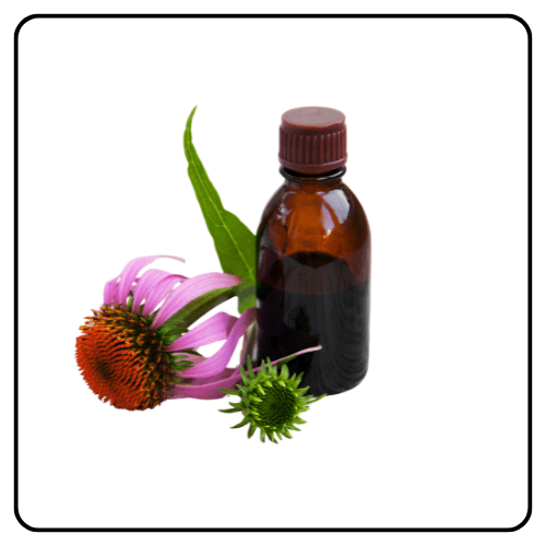 Natural Remedies & Homeopathy