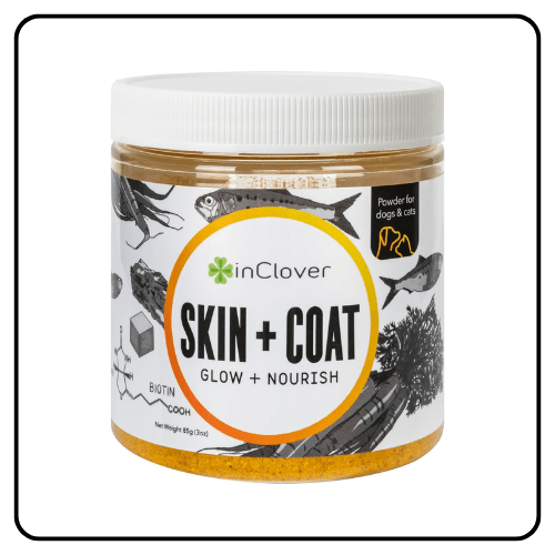 InClover Skin + Coat