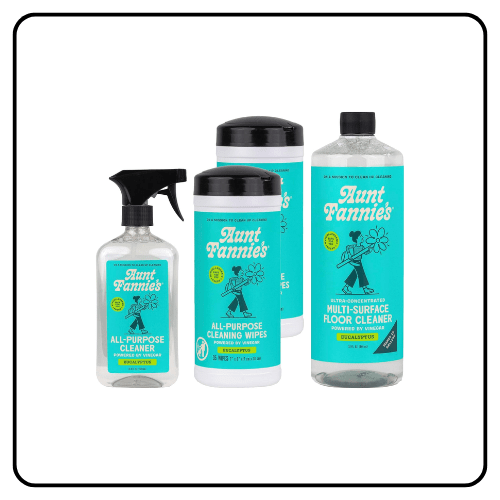 Aunt Fannie's Multi-Surface Vinegar Cleaning Kit