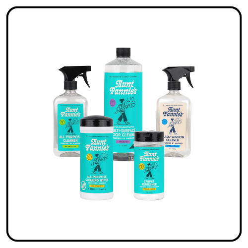 Aunt Fannie's Whole Home Cleaning Bundle