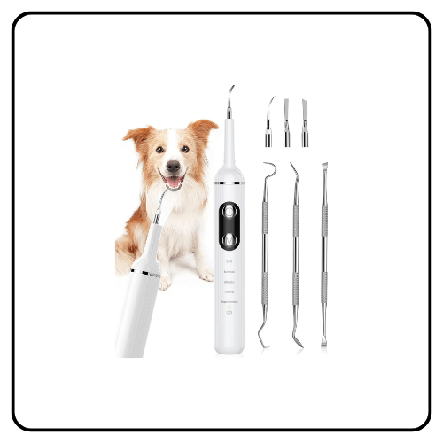 Electric Pet Plaque Remover Tool for Dogs and Cats