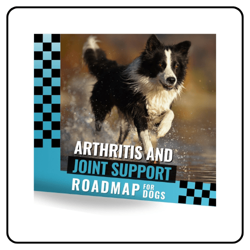 Essential Oil Vet arthritis and joint roadmap