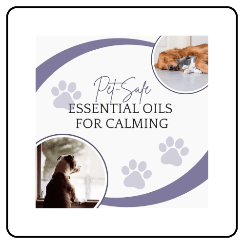 Essential Oil Vet calming
