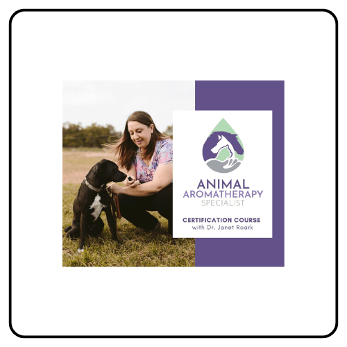 Essential Oil Vet certification