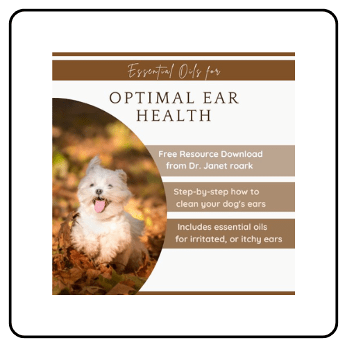 Essential Oil Vet ear health