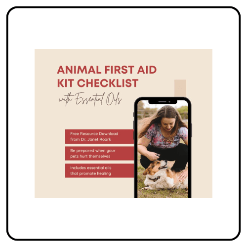 Essential Oil Vet first aid checklist
