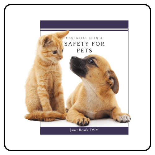 Essential Oil Vet pet safety