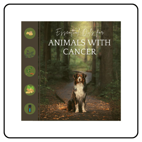 Essential Oil Vet pets with cancer