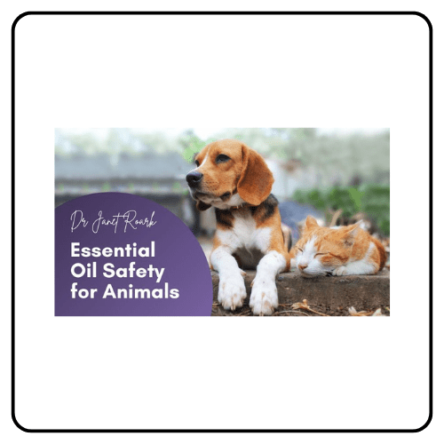 Essential Oil Vet safety webinar