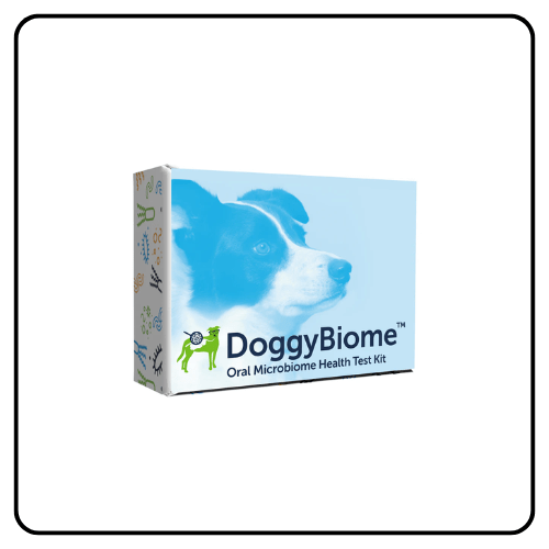 Oral Health Test for Dogs
