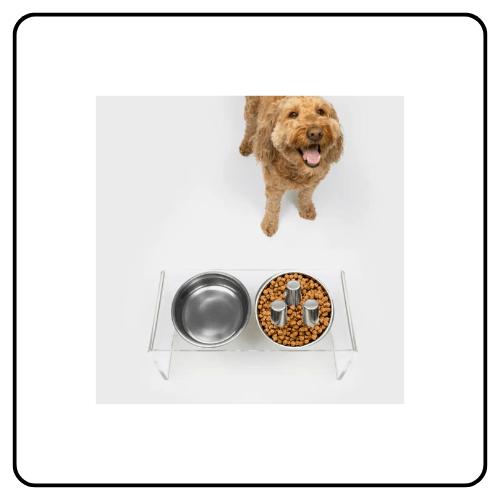 hiddin Slow and Water Bowl Feeder