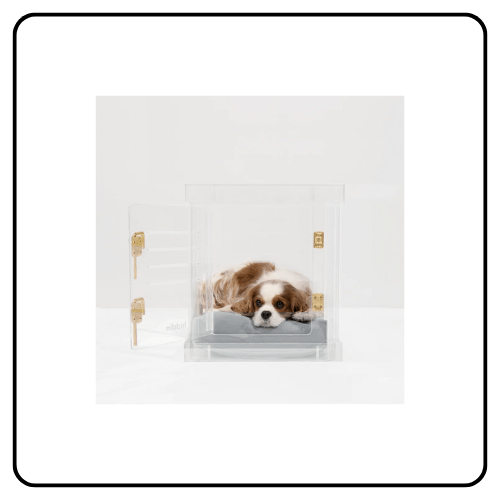 hiddin Small Crate (Gold Latch)