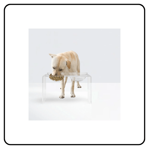 hiddin Tall Glass Bowl Feeder