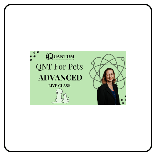 qnt for pets advanced live class
