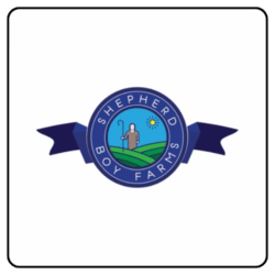 shepherd boy farms