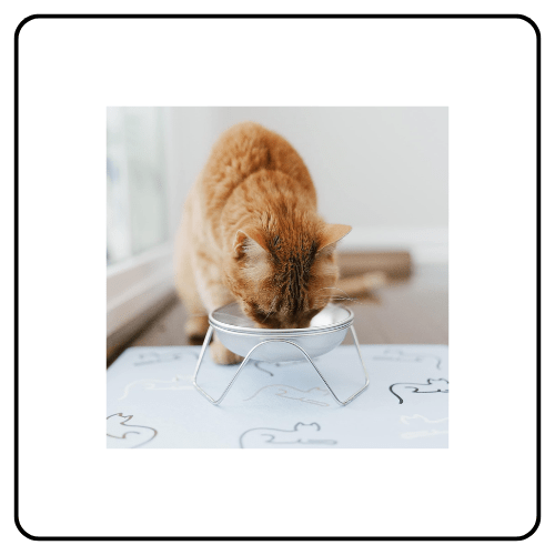 Americat Cat Bowls, Stands & Placemats