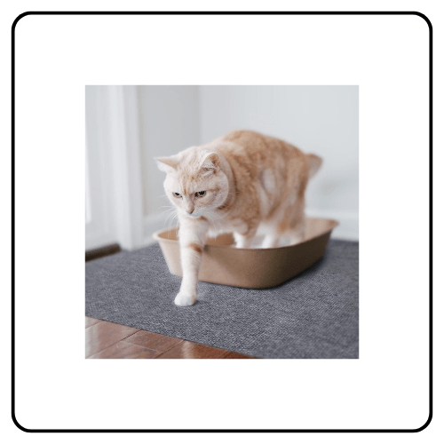 Americat Cat Litter Supplies