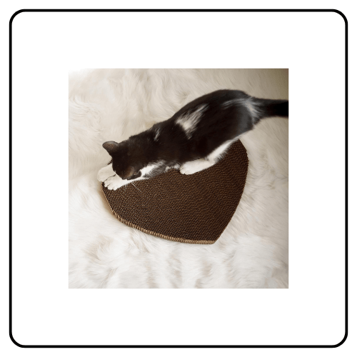Americat Cat Scratchers & Beds