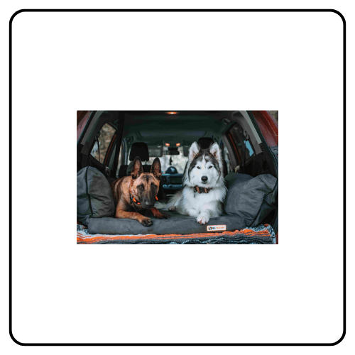 Barker Beds Travel Beds