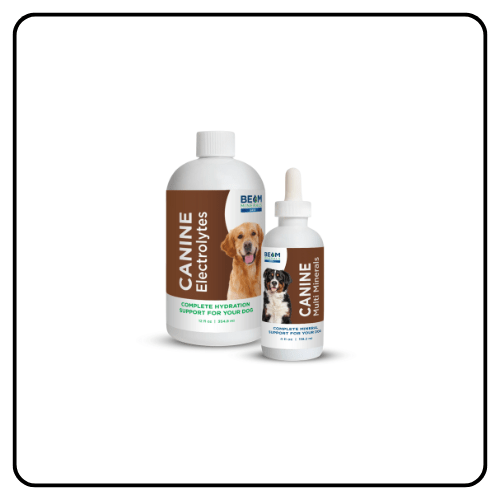 Beam Minerals - Advanced Canine Mineral and Electrolyte Replenishment Set