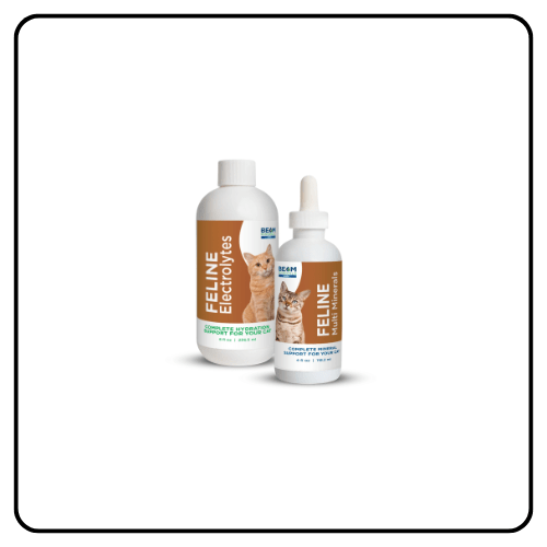 Beam Minerals - Advanced Feline Mineral and Electrolyte Replenishment Set